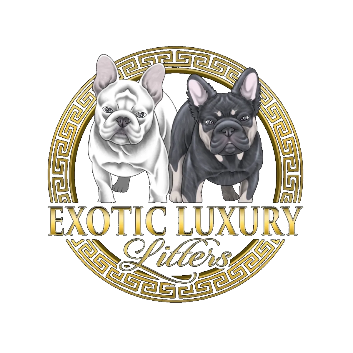 Brand Logo