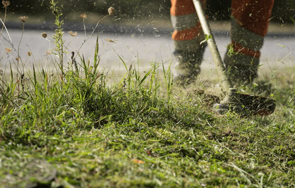 General Waste Hauling in Tuscaloosa, AL