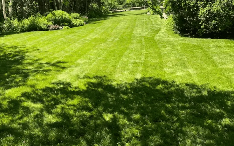 Seasonal Lawn Restoration in Tuscaloosa, AL