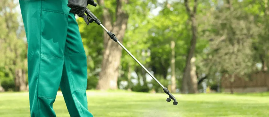 Turf Health & Fertilizing in Tuscaloosa, AL