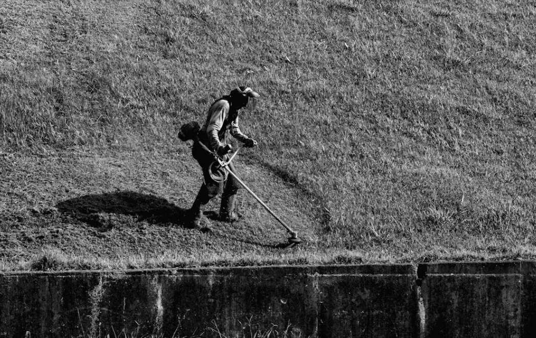  Precision Mowing & Edging