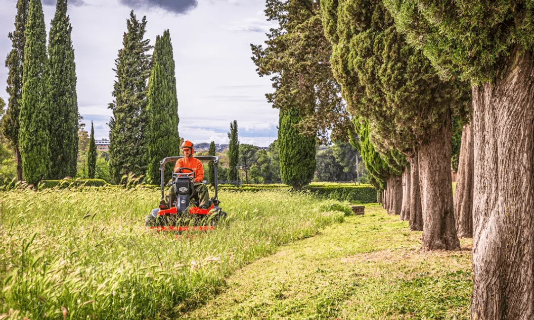 {{ custom_values.service_1 }} in {{custom_values.biz_area_1})