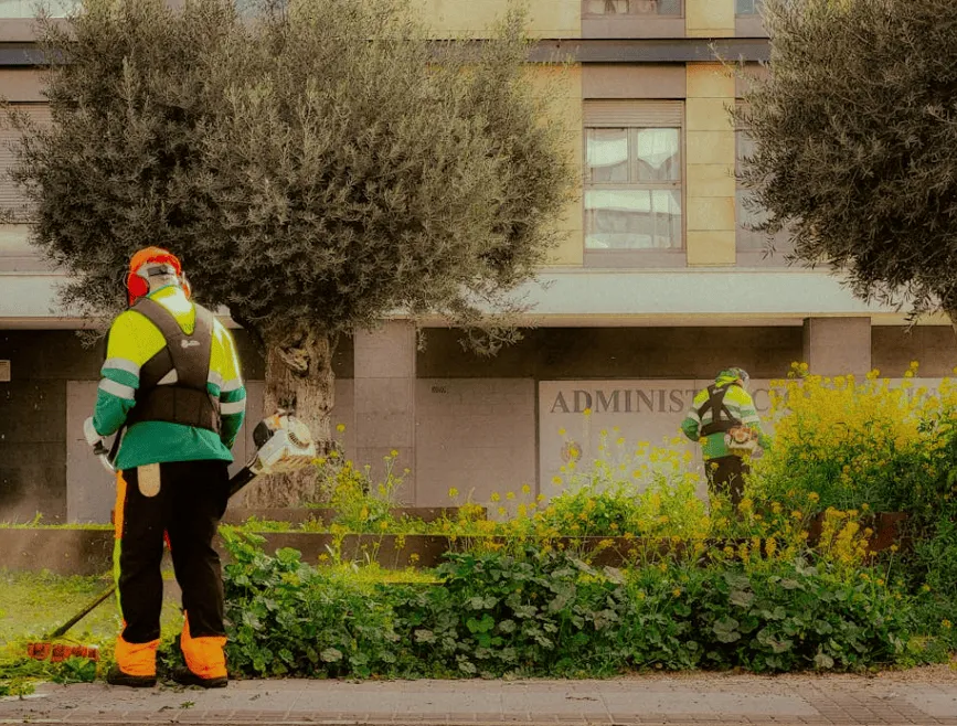 Commercial Grounds Care in Tuscaloosa, AL