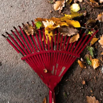  Seasonal Lawn Restoration