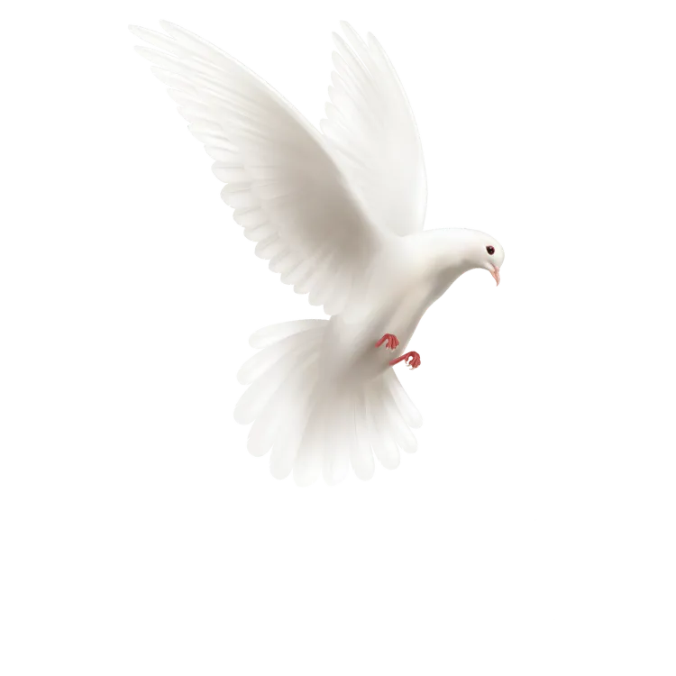 TriniT