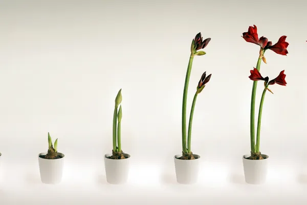 The business I started was not the business I run now