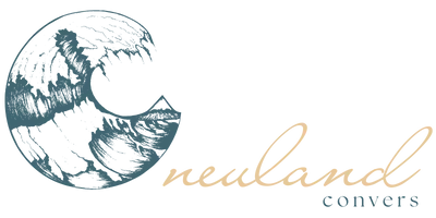 Neuland Converse Führungkräfte Mentoring