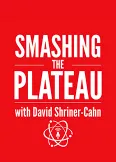 Smashing the Plateau podcast: How to Stand Out with Authentic Copy, Tough Love, and Mentorship After Leaving Corporate Leadership