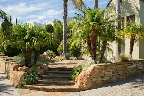 Desert-style residential landscaping with palms and stonework by Desert Bloom Landscaping