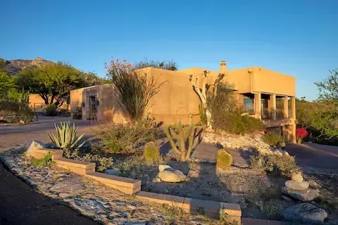 Desert landscaping design with native plants by Desert Bloom Landscaping in Sunrise Manor