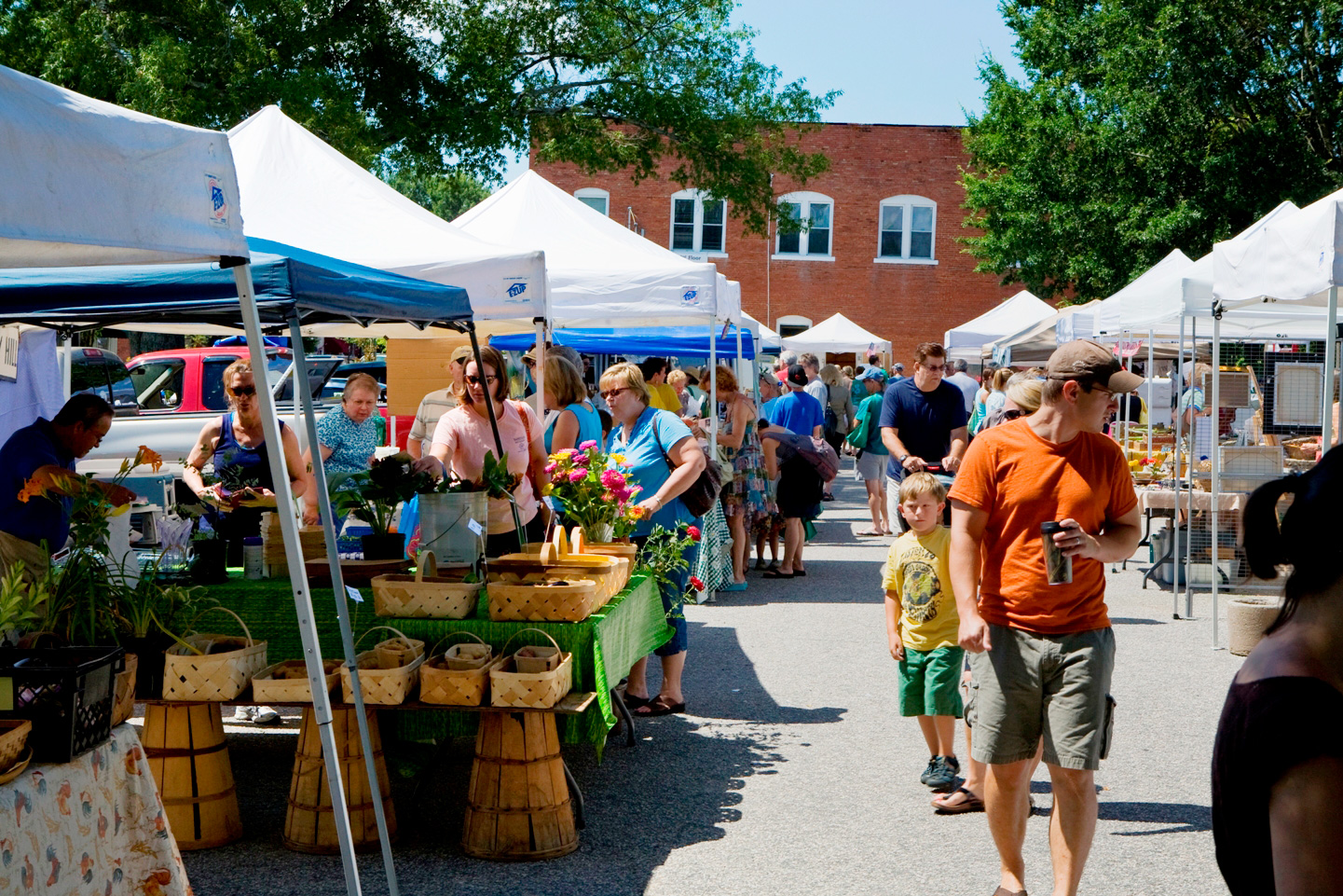 Wake Forest NC Farmers Market