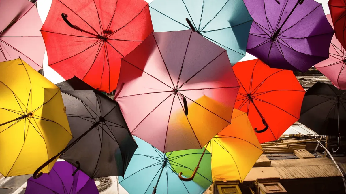 Cybersecurity Insurance 101: What Small Business Owners Need to Know