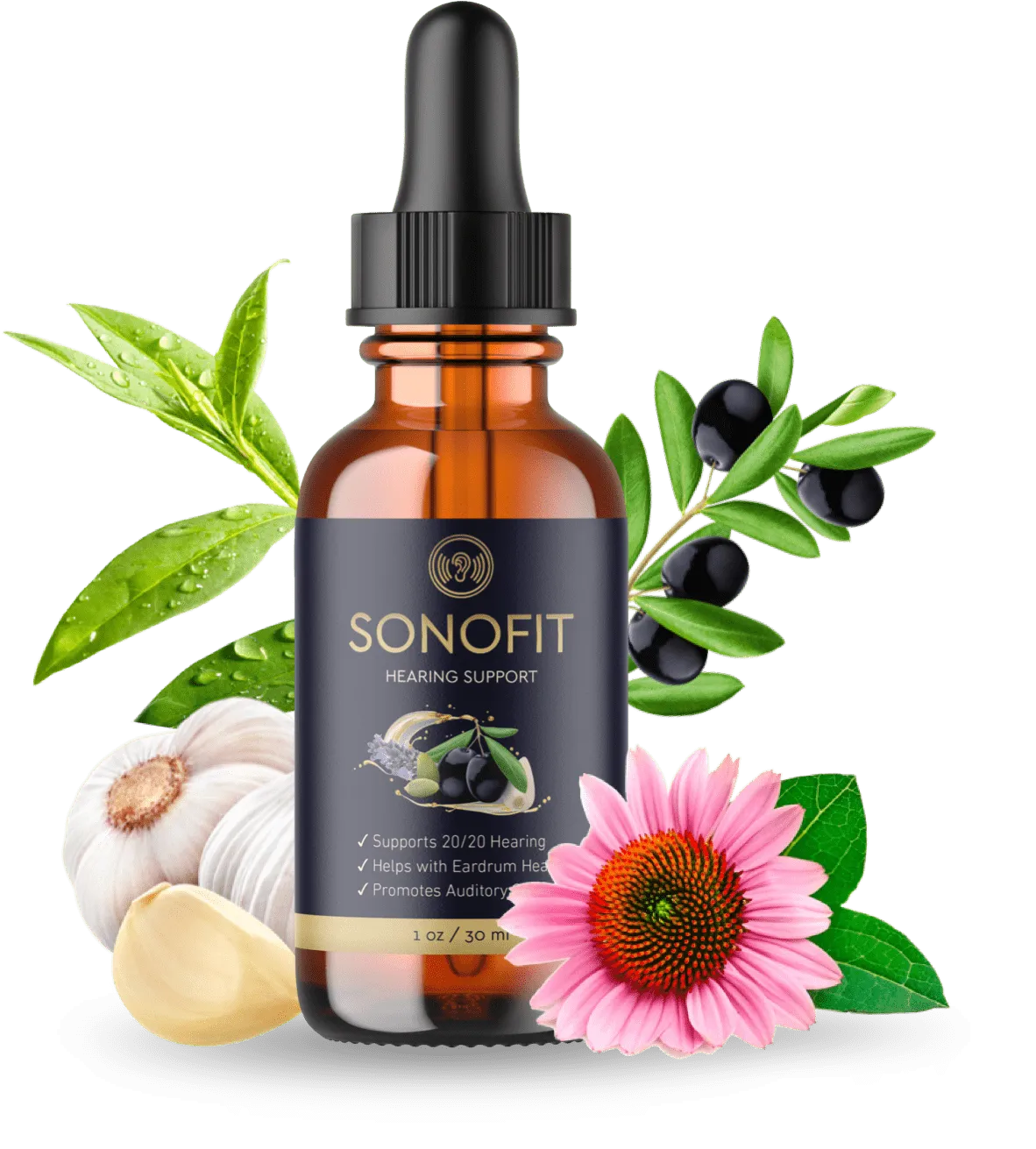 Sonofit image