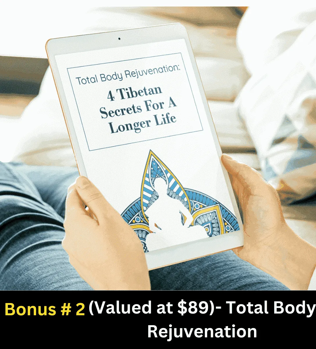 Fast Lean Pro Bonus 2