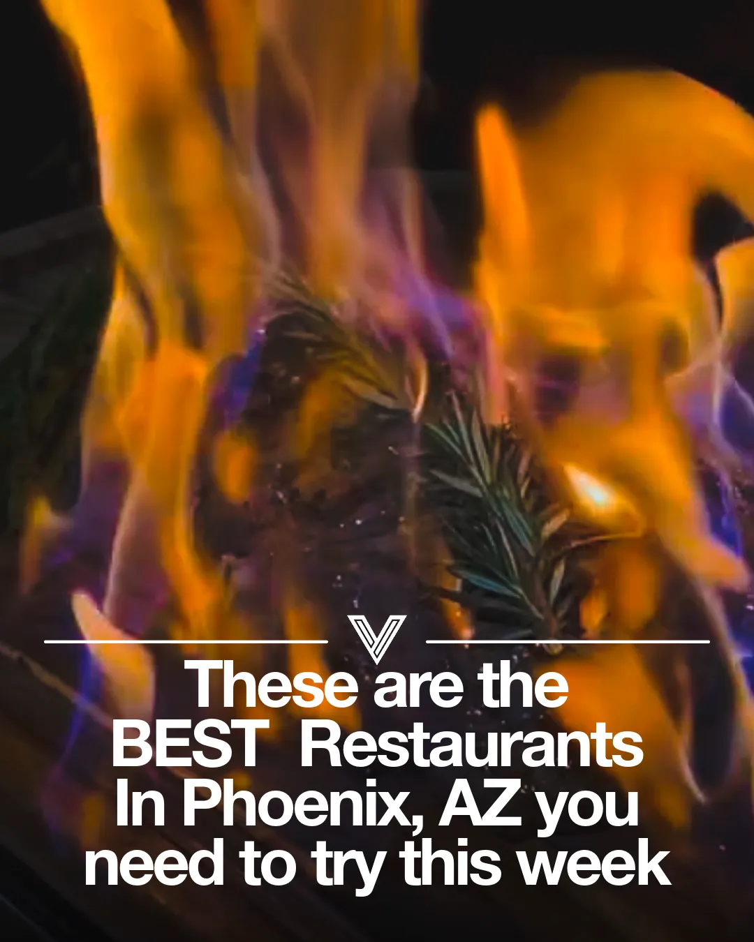 Best Restaurants in Phoenix, AZ You Need to Try This Week