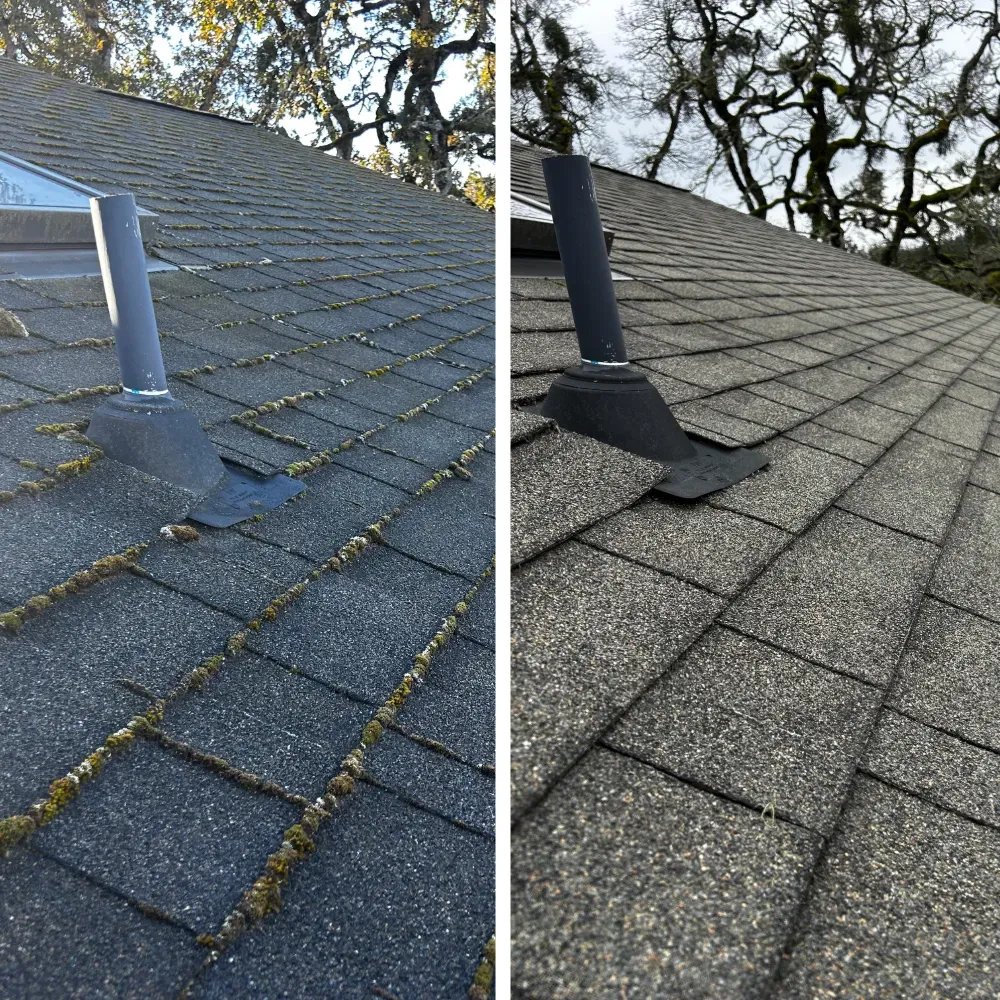 Before and after of roof clean. On the let is a roof covered in moss and on the right is a squeaky clean roof.