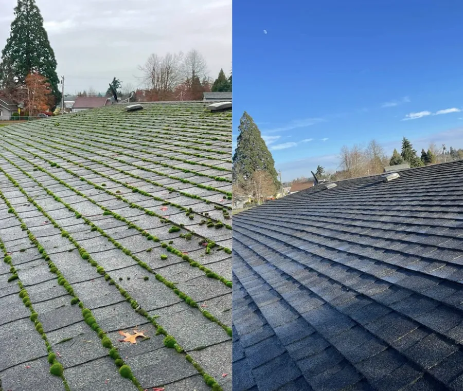 Before and after of roof clean. On the let is a roof covered in moss and on the right is a squeaky clean roof.