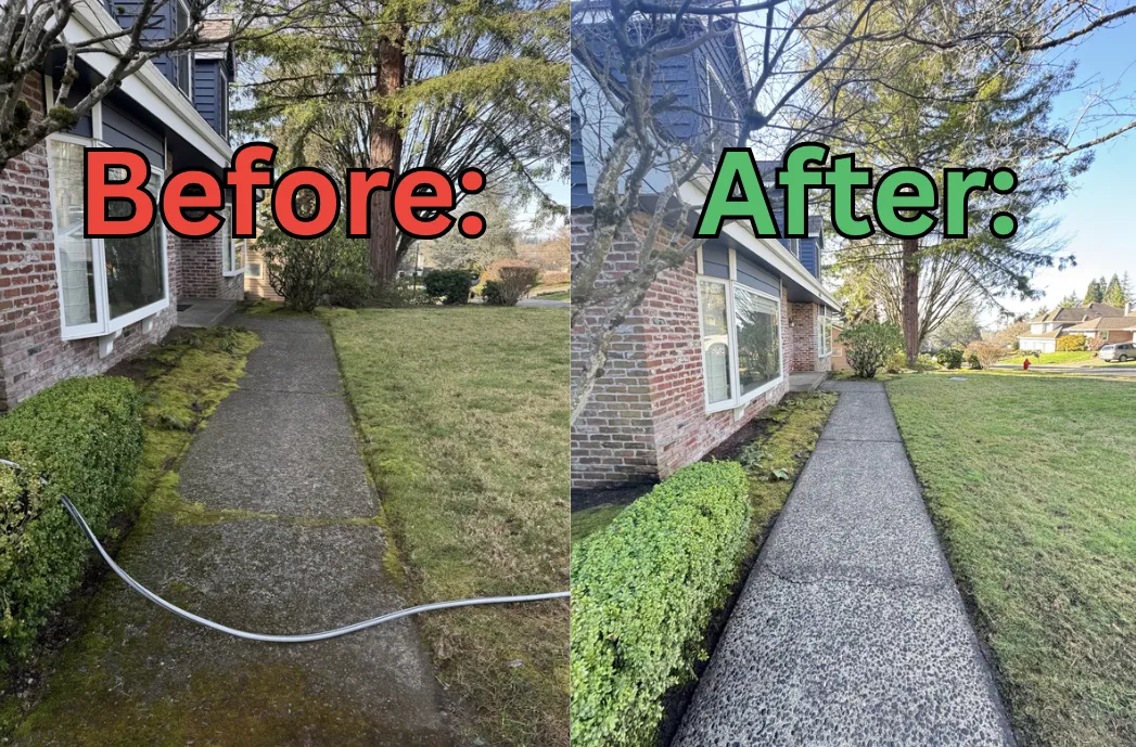 Before and after pressure washing a walkway in Lake Oswego.