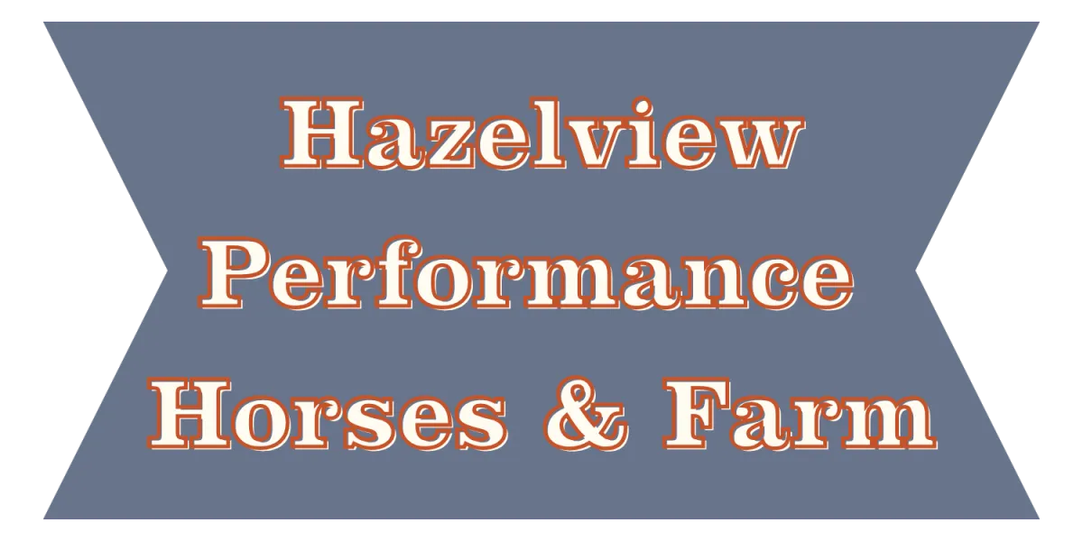 Hazelview SEO