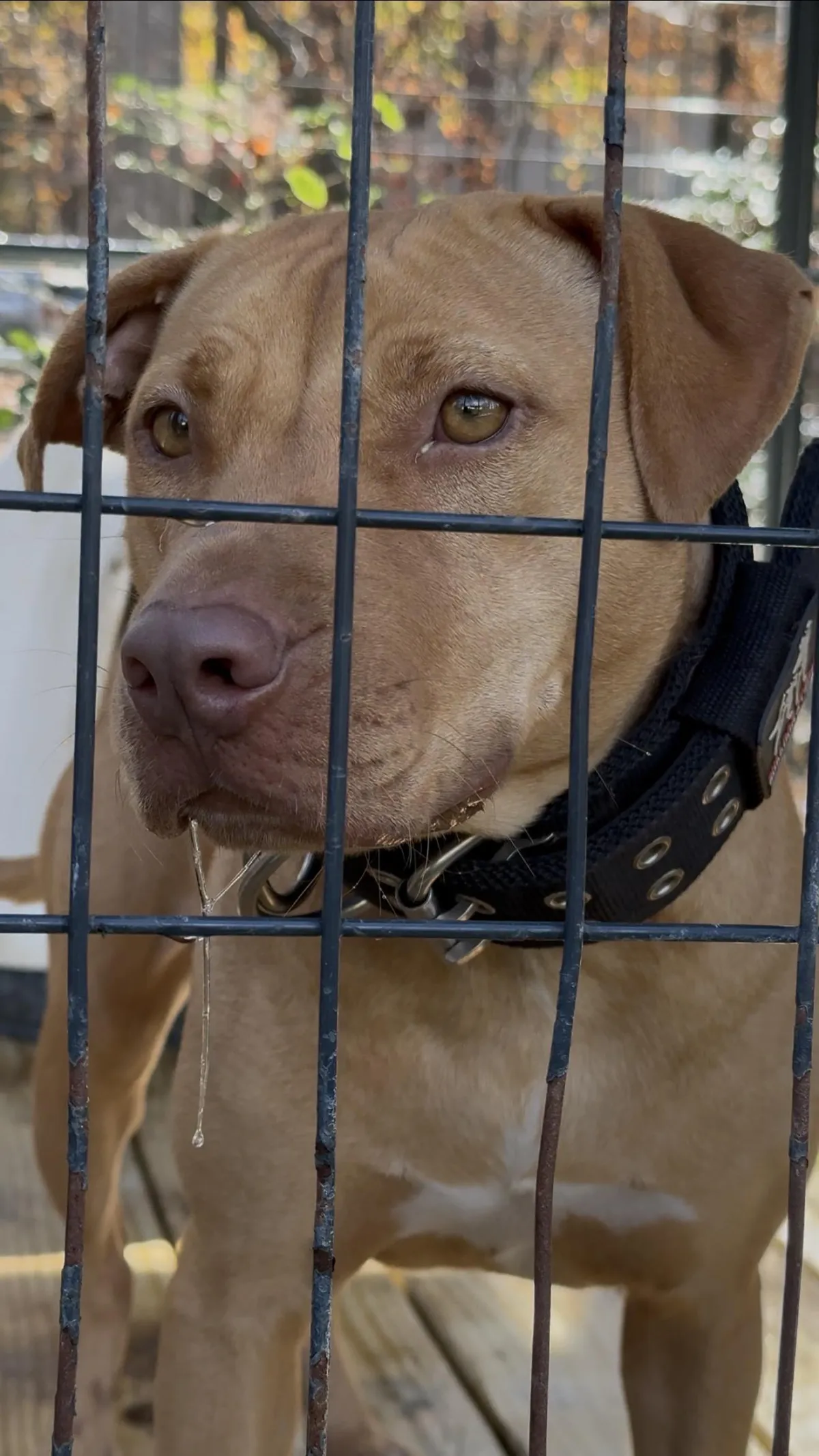 man in white tank top and black shorts hanging on black metal bar under blue sky