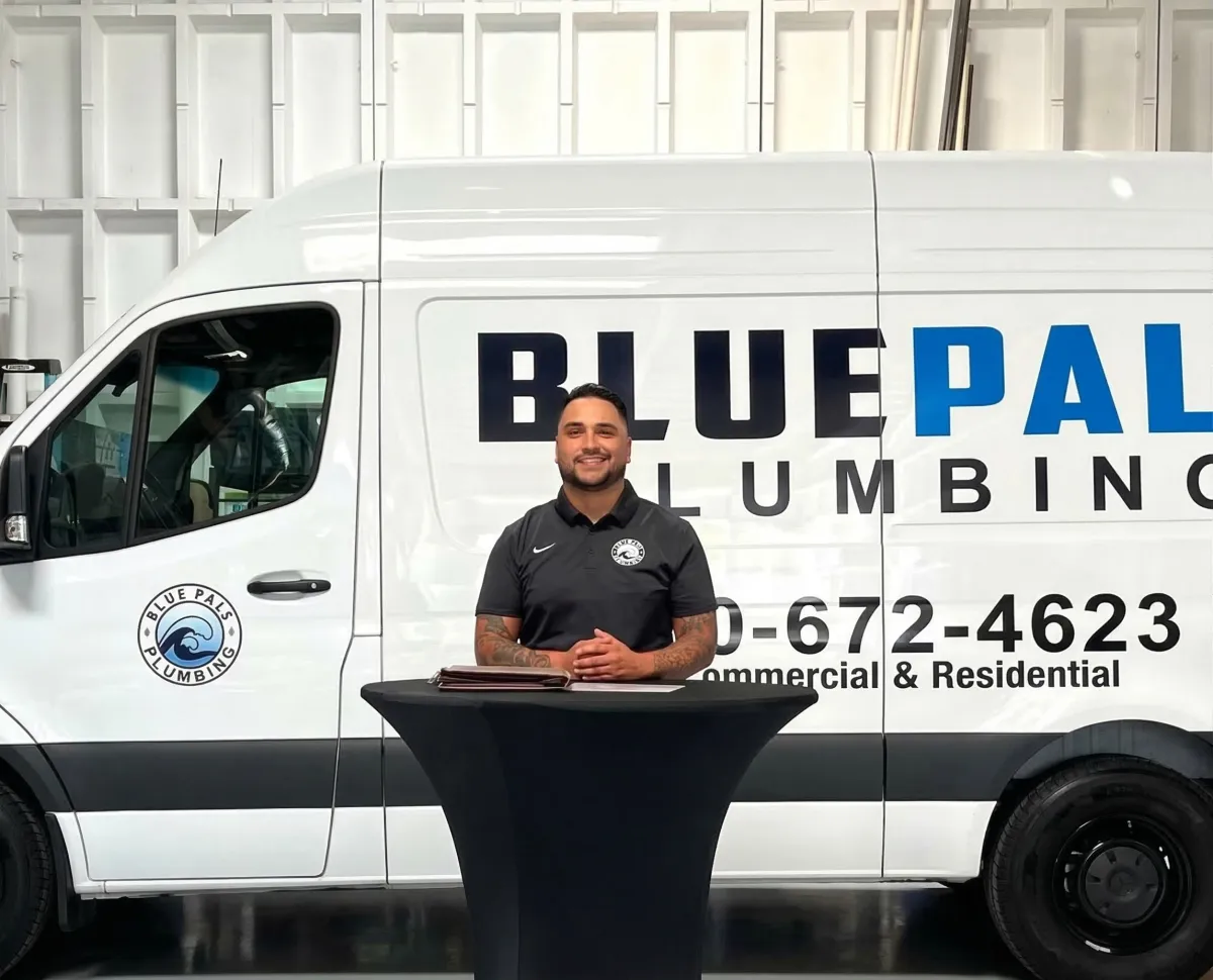 a cat sitting on a shelf on a wall