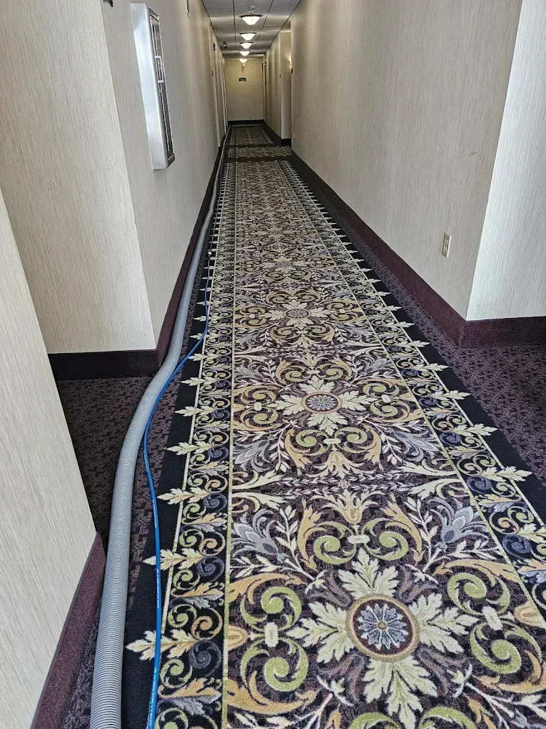 Wichita KS Upholstery Cleaning