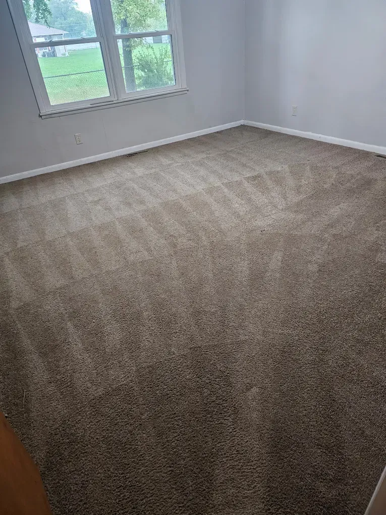 Wichita KS Carpet Cleaning
