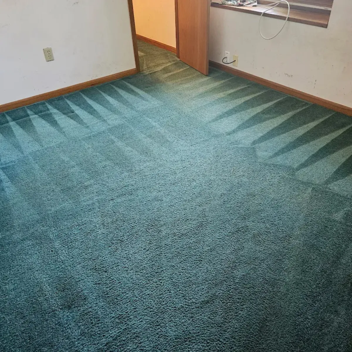 {{ custom_values.service_1 }} in {{custom_values.biz_area_1})