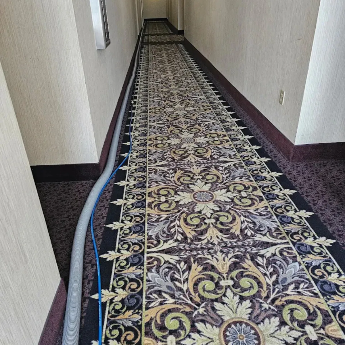 Rug Cleaning in Wichita KS