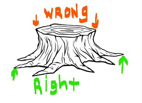 Demonstrating where tree trunk removal companies measure a stump to provide an estimate