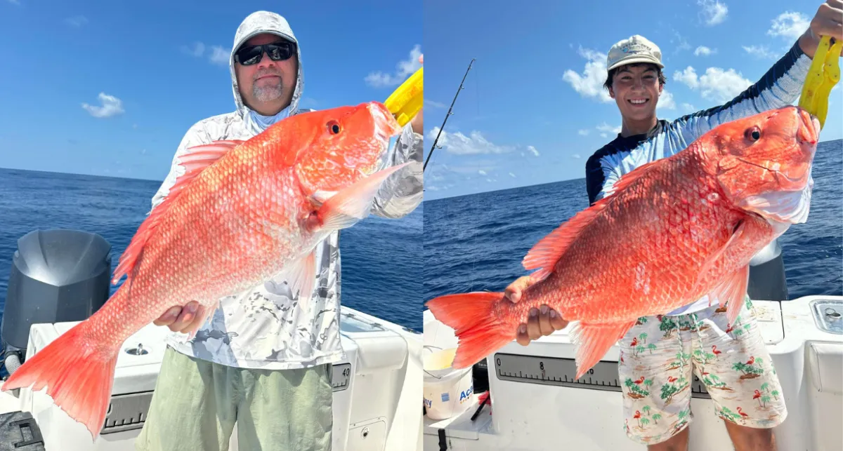 Freshly caught fish from Matagorda fishing charter