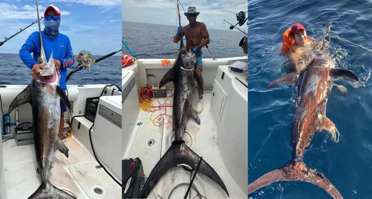 Captain guiding deep sea fishing in Matagorda waters