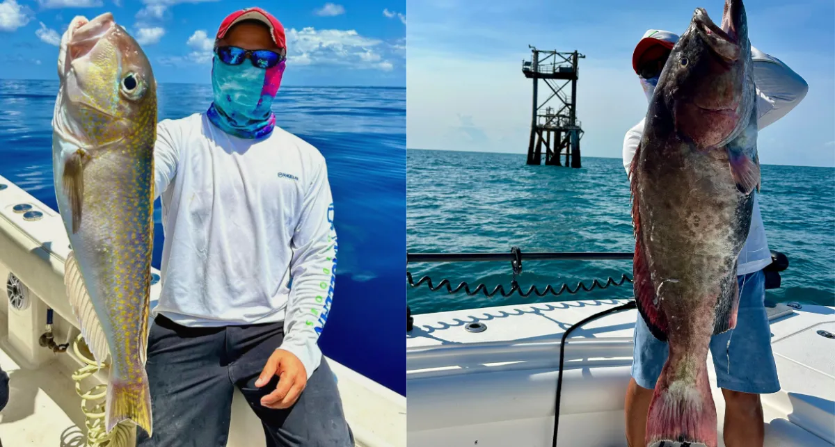 Freshly caught fish from Matagorda fishing charter