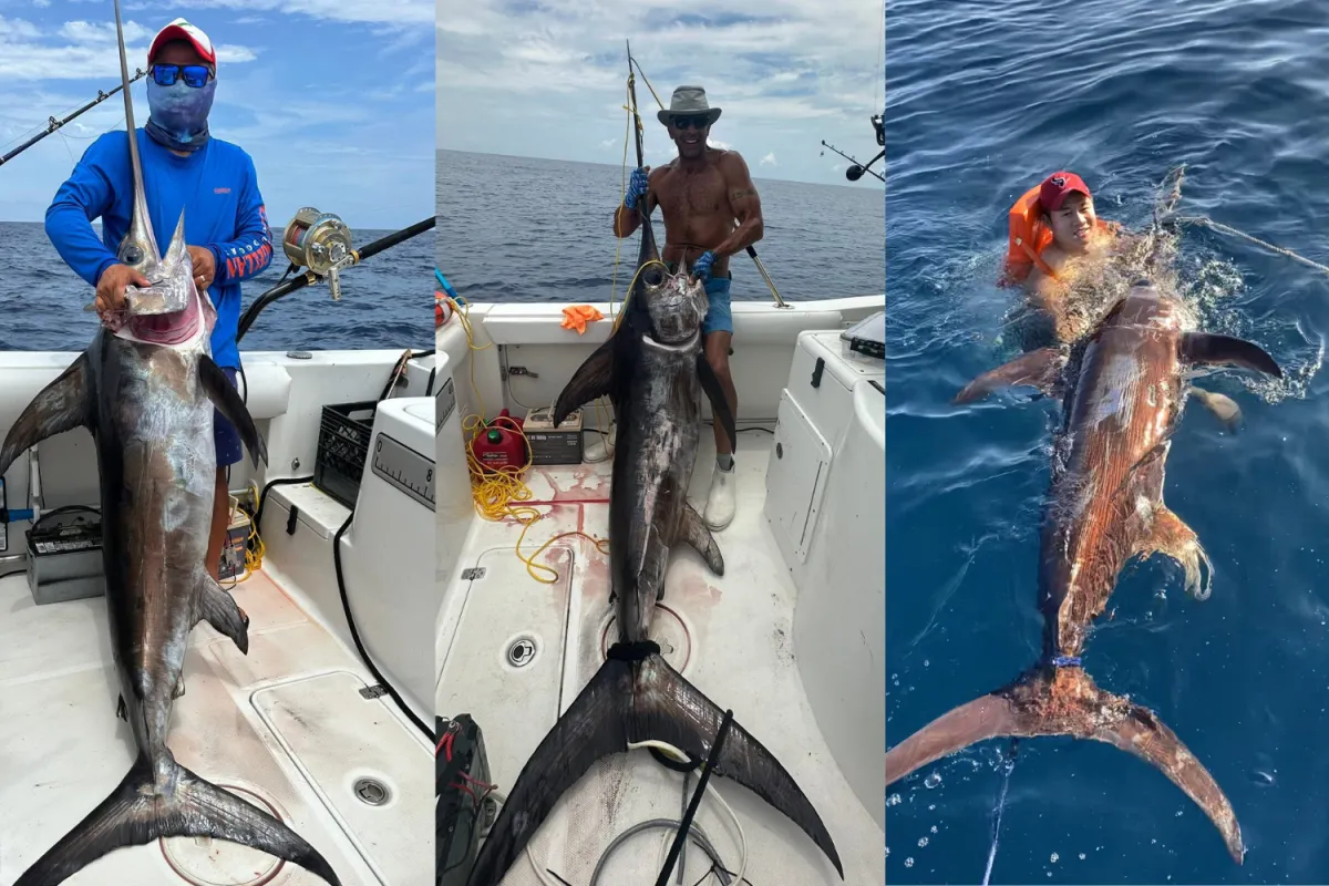 Swordfish Fishing Trip in the Gulf of Mexico
