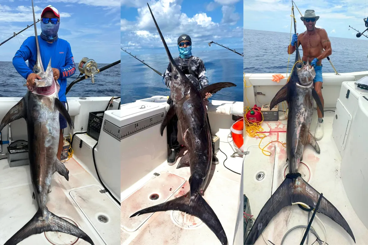 Half Day Fishing Trip in the Gulf of Mexico