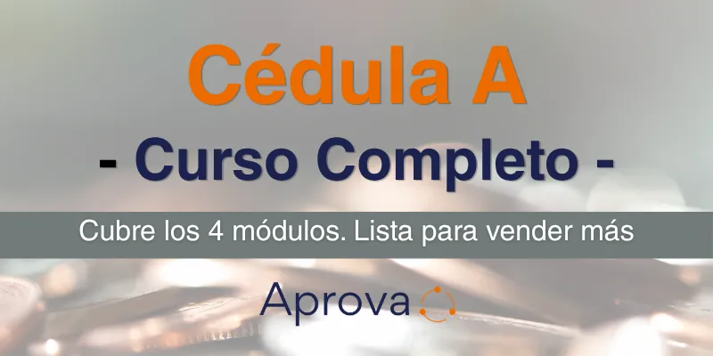 Fundamentos del Tema