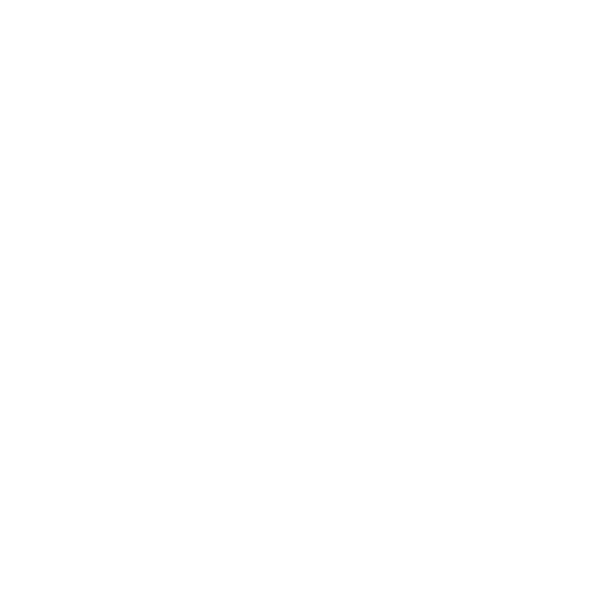 RS TikTok