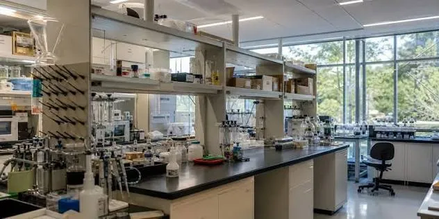 Why Is Claude Starting to Work in Real Labs?