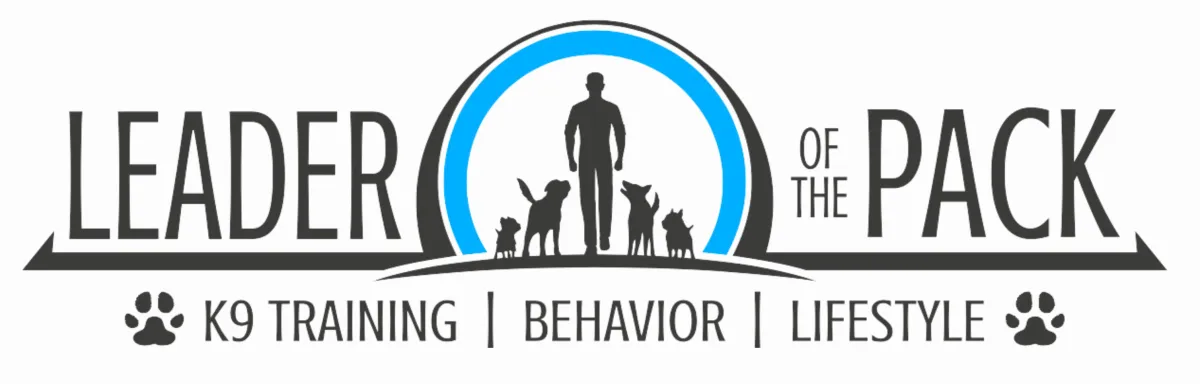 Mike Barron, 100K Sales Program, Mike Barron 100k Sales Program