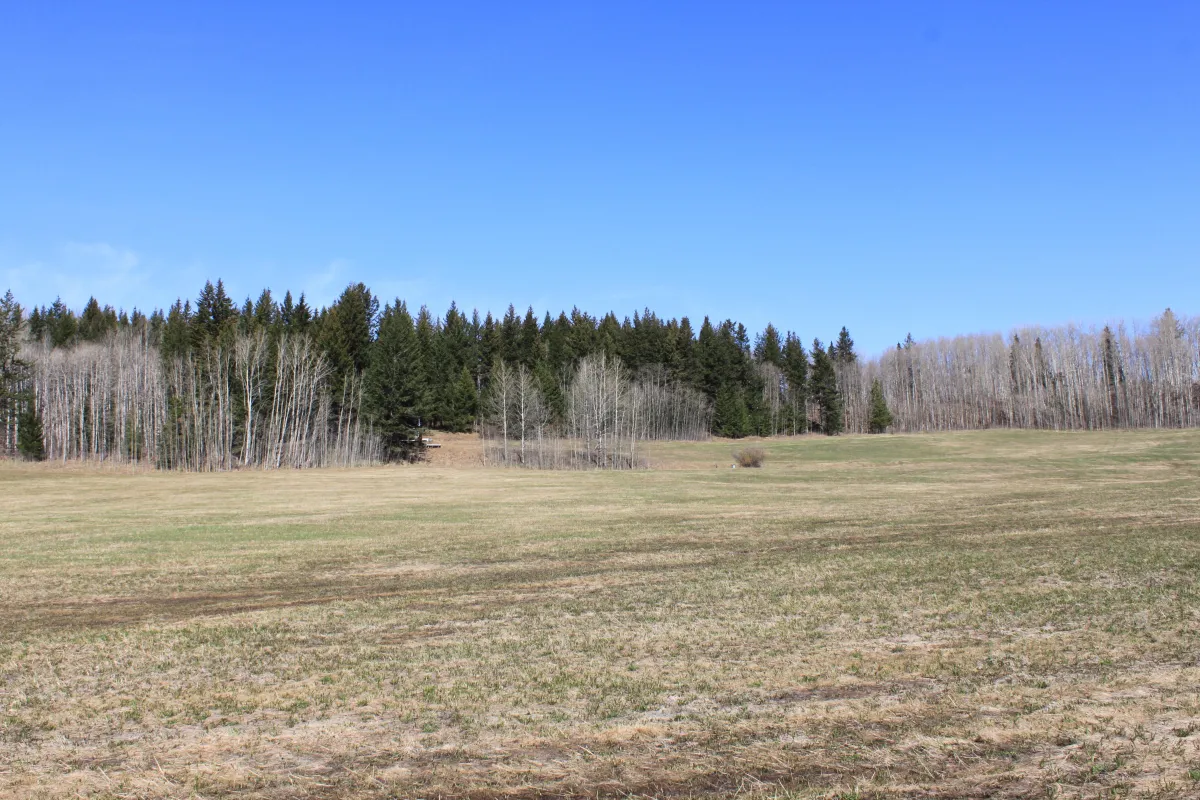 Buyer moving from the Lower Mainland to Interlakes BC, Rural property in Interlakes for relocation buyers, Bridge Lake and Sheridan Lake relocation guide, Amanda Oldfield Interlakes moving guide