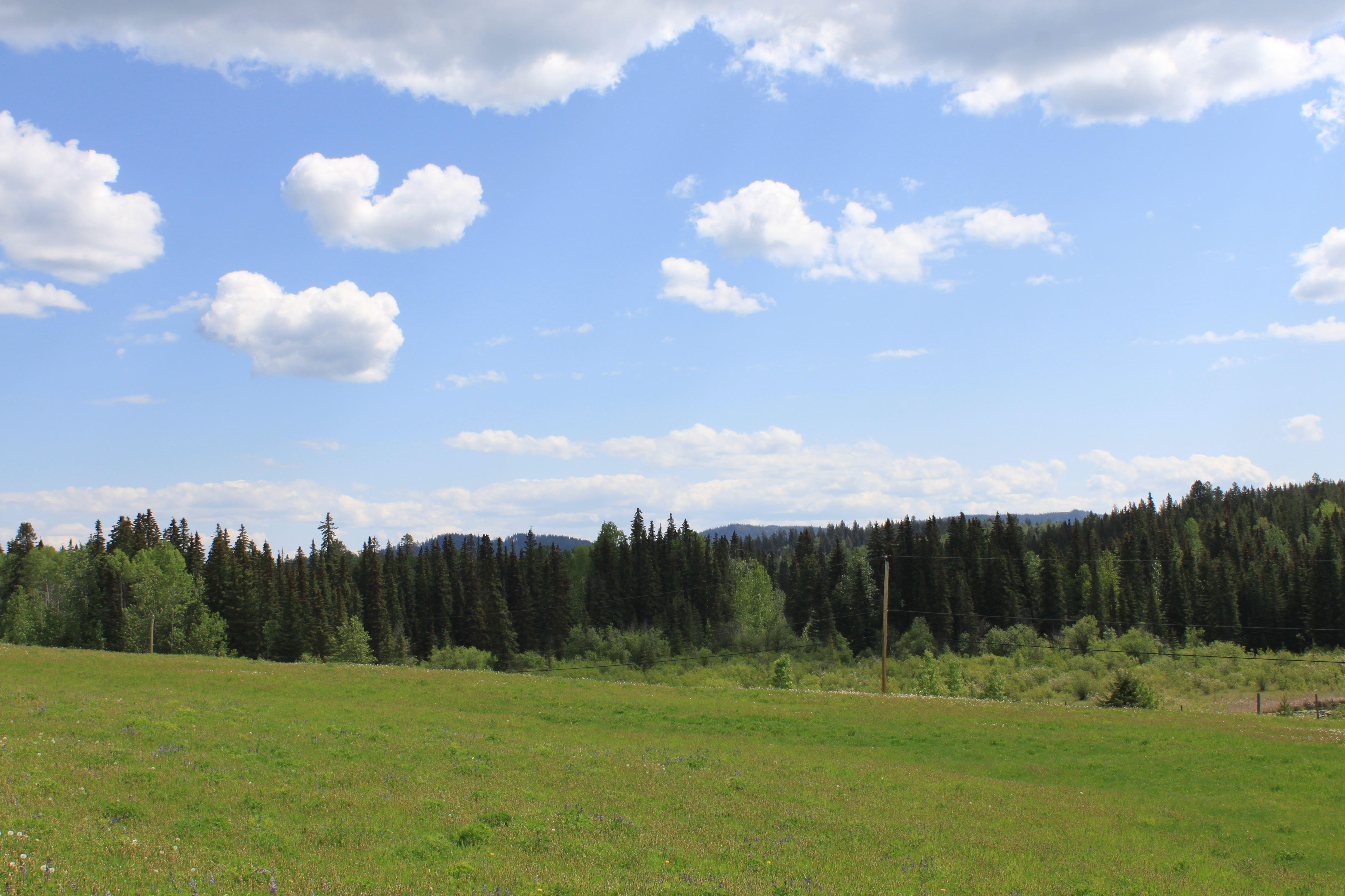 Is It Better to Buy in a Lake Area or Farther Back in Interlakes?