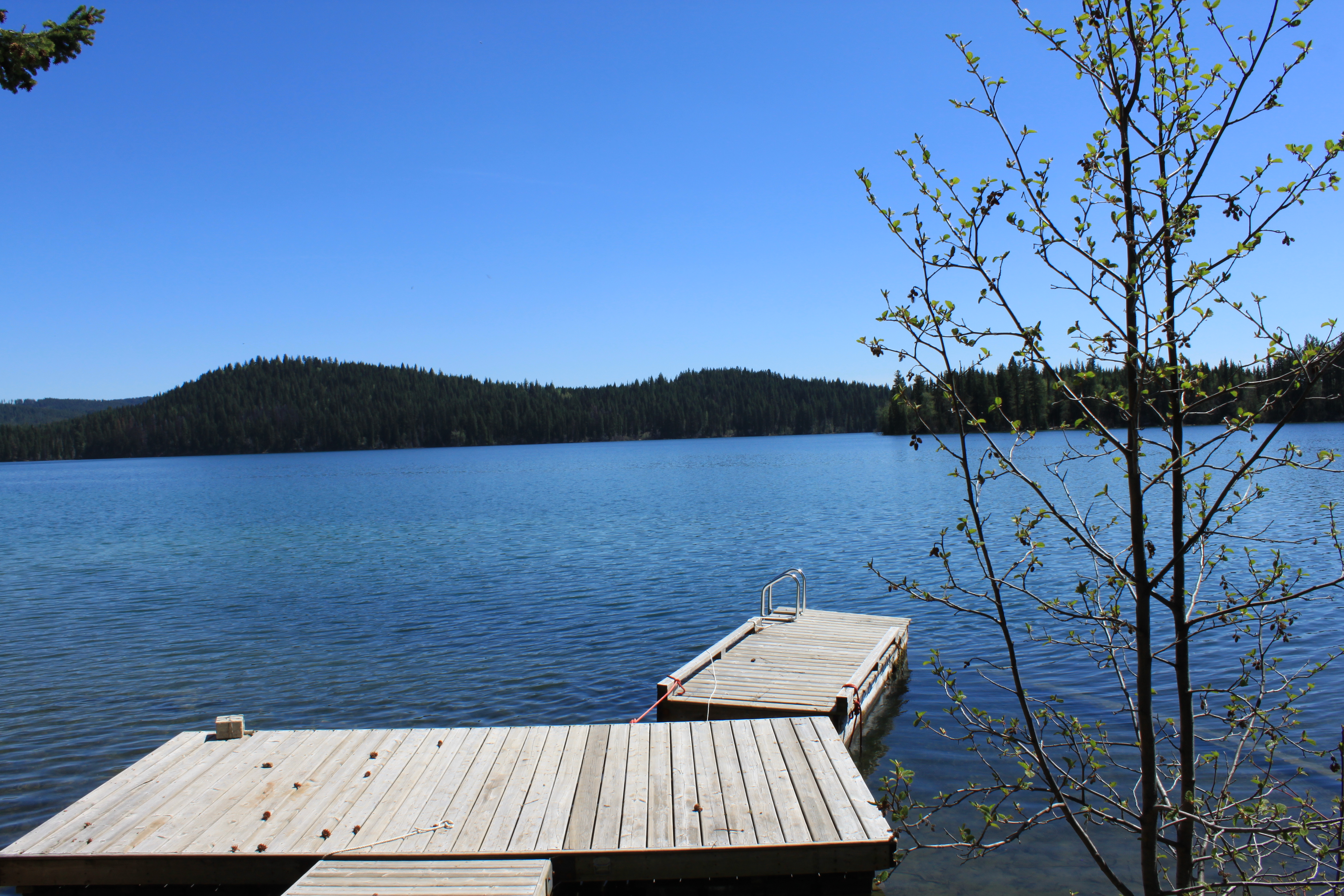 What’s the Best Lake Area in Interlakes for a Recreational Property?