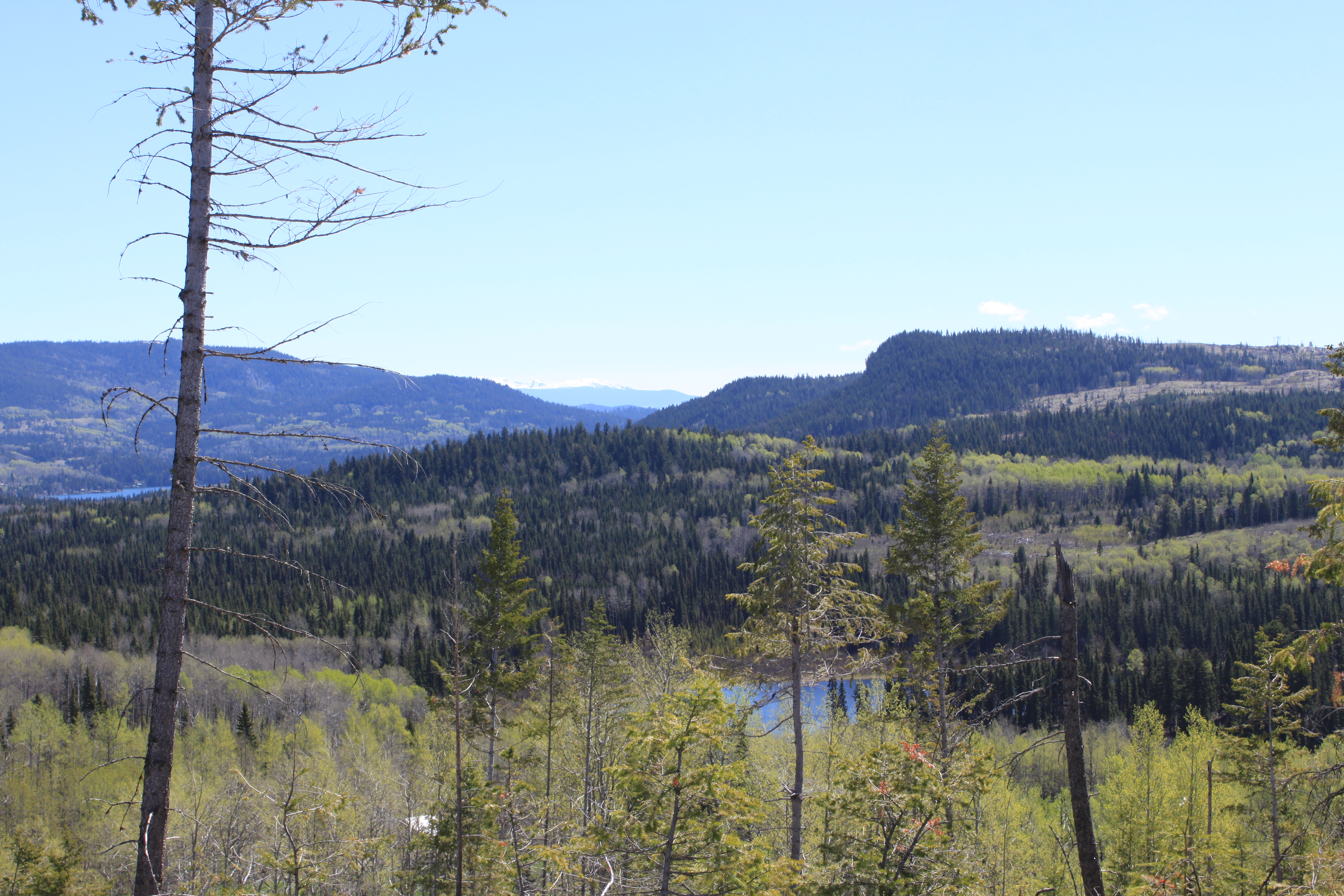 What Should You Check Before Buying a Camp-Now, Build-Later Property in Interlakes?