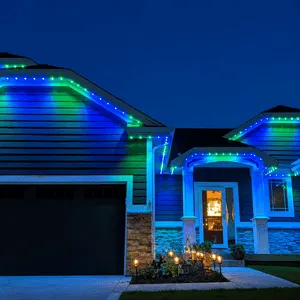 Residential Christmas Light Installation Vancouver