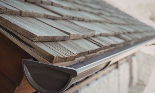 Leaf Guard Protection in 