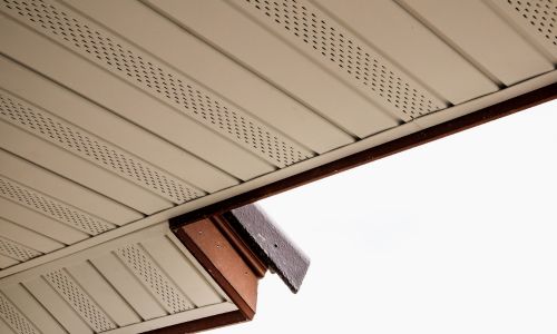 Leaf Guard Protection in 