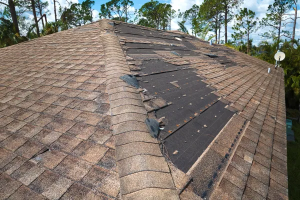 Shingle Roofing in