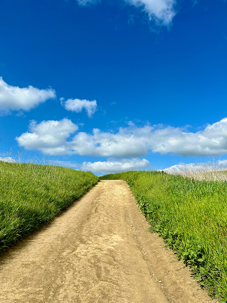 Dirt path to horizon. Green grass. Blue Sky.