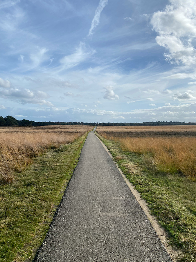 Path with grass on each side. Blue sky.