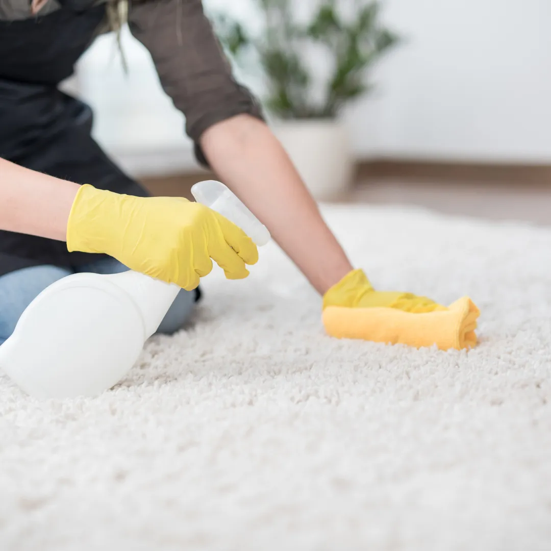 Carpet Cleaning in Chelsea